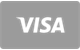 Visa tarjeta de pago aceptada en LuckyMinning Casino